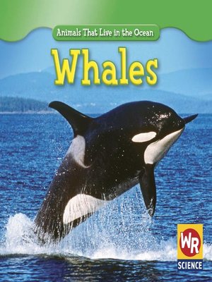 cover image of Whales